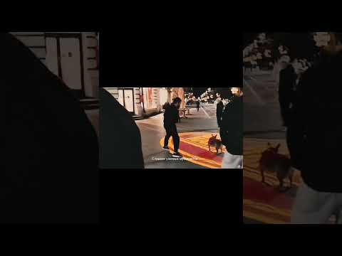 Прогулка по чудесному