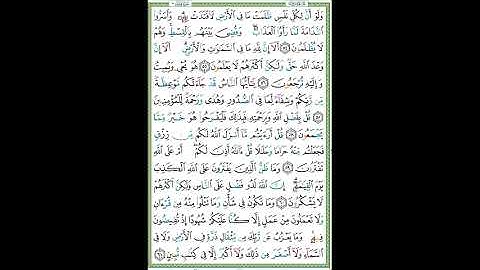 سورة يونس الصفحة ٢١٥