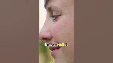 Decoding Cats Behavior: Understanding Why Cat Meows at Humans!