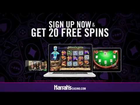 Connectez-vous à VIP Hive Casino pour Jouer au Casino en Ligne en France