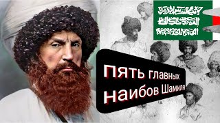 Пять главных наибов Шамиля | кто они