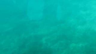 MVI_0505.AVI