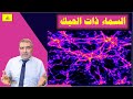 اكتشف بالصور والسماء ذات الحبك | عبدالدائم الكحيل