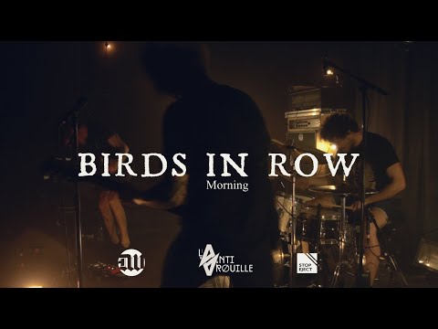 Punk music video thumbnail preview for Birds in Row - Morning