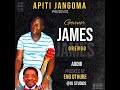 Hon. Governor James Orengo.. Official Audio by Apiti Jangoma