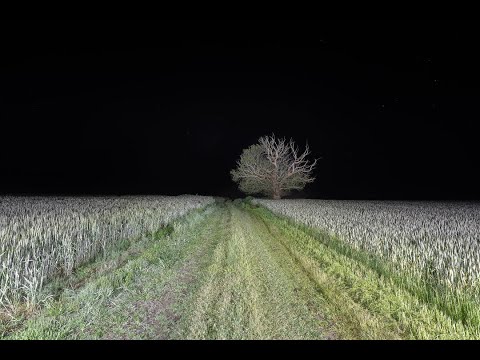 TAPE 14