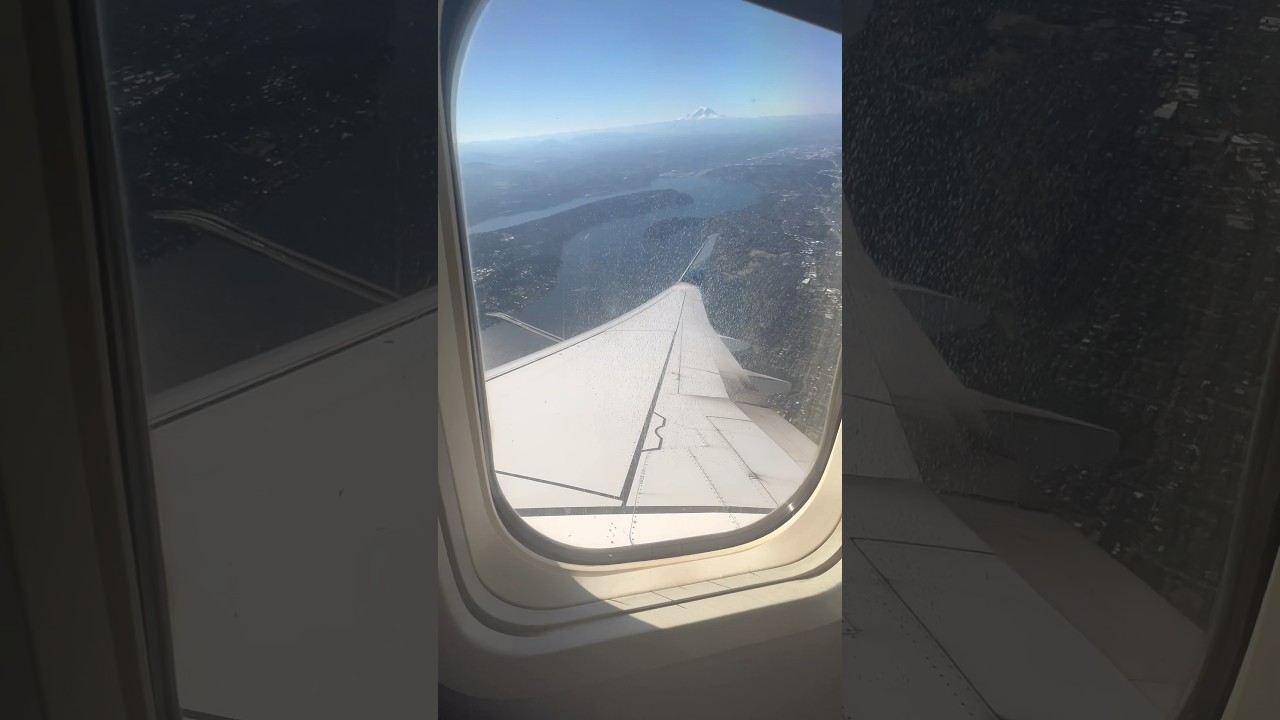 making sure my bags go on vacation *with* me 🫡