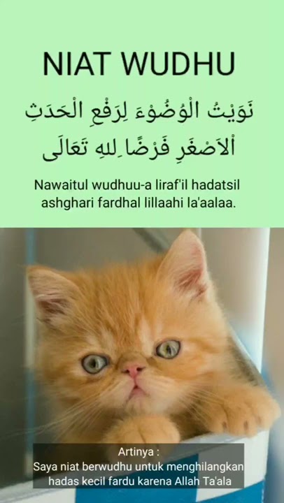 Niat Wudhu
