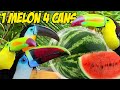 Can 4 Toucans Eat an Entire Watermelon in 1 Day?