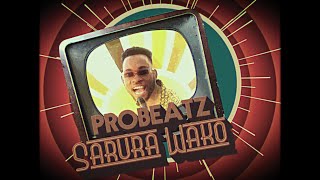 PROBEATZ - Sarura Wako (Official Video)