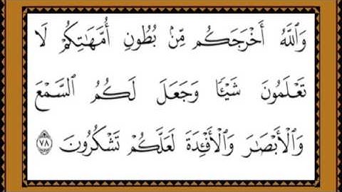 والله أخرجكم من بطون أمهاتكم / تلاوة عذبة بقراءات متعددة لريحانة القراء محمد صديق المنشاوي رحمه الله
