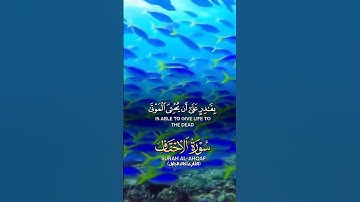 #قرآن كريم #تلاوة_خاشعة #الشيخ_خالد_الجليل #اكسبلور #مؤثر ##pubgmobile #omletarcade #upsc #duet