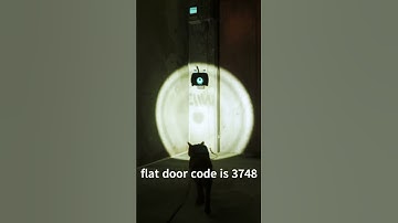 stray first flat door code guide #stray