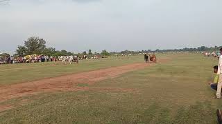Vinayak Yadav Takhla Vs Mohgao Banjari Wala Pat Pratiyogita Katiya Ox Race