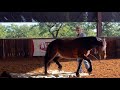 This horse is Anxious and Claustrophobic!