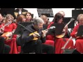 Экспромт в стиле кантри. Александр Цыганков (домра)