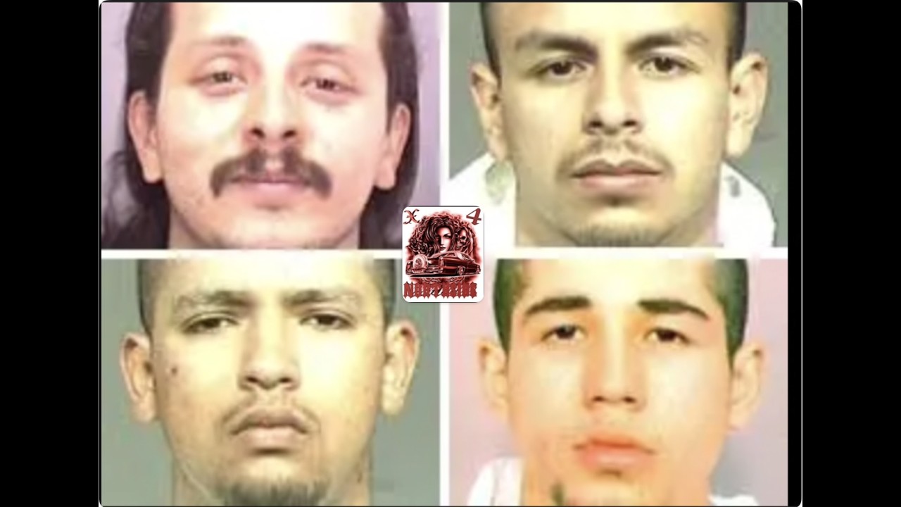 El Hoyo Palmas Shot Caller Goes To War With Surenos In San Jose...The Story Of Gene 