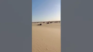 حانت الغارة سواق الشاص لايفوتك قمة الابداع والروعة 