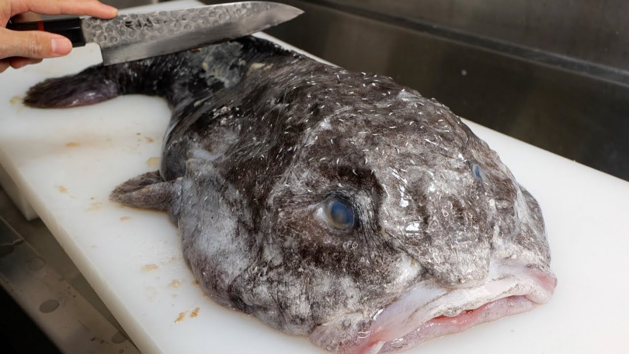 Filleting the World's Ugliest Fish! - YouTube