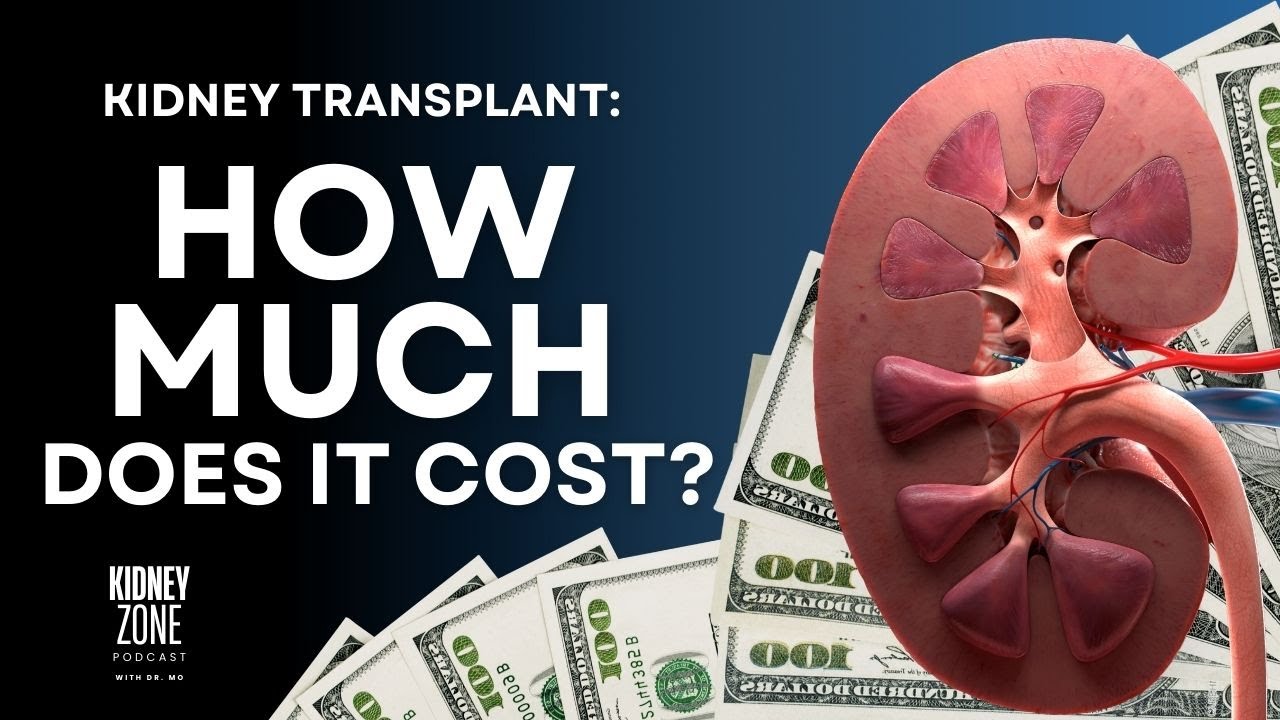 Understanding the cost of kindey transplantation | EP 29| #kidneyzone