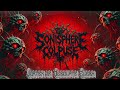Vortex of Desolate Flesh - 2025 - Hyper-Technical Grindcore - Ultra-Gore Metal