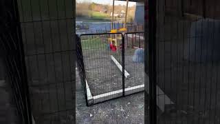 Close Look Yaheetech Dog Playpen Outdoor 32 Panel Dog Fence