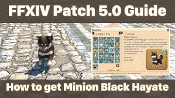 FFXIV Black Hayate Minion - Shadowbringers