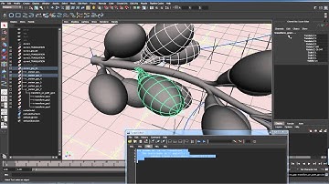 Chapter 7B   The Grapes