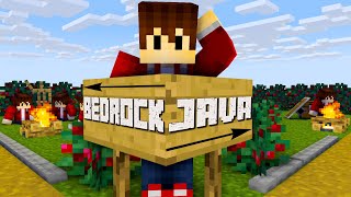 Welche Minecraftversion soll ich kaufen | Minecraft Bedrock oder Minecraft Java ? | LarsLP