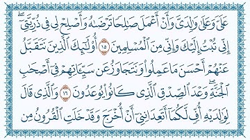 سورة الأحقاف مكتوبة - بصوت القارئ مشاري بن راشد العفاسي