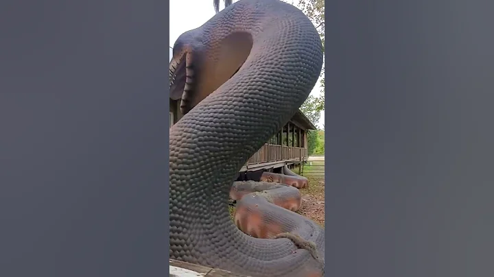 Titanoboa, Zoo  Florida - DayDayNews