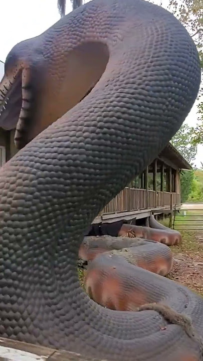 Titanoboa, Zoo  Florida