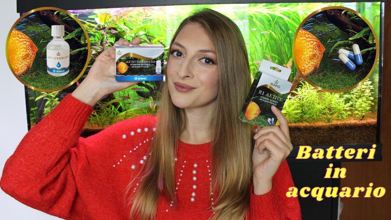 BATTERI IN ACQUARIO - alleati fondamentali per le nostre vasche - YouTube