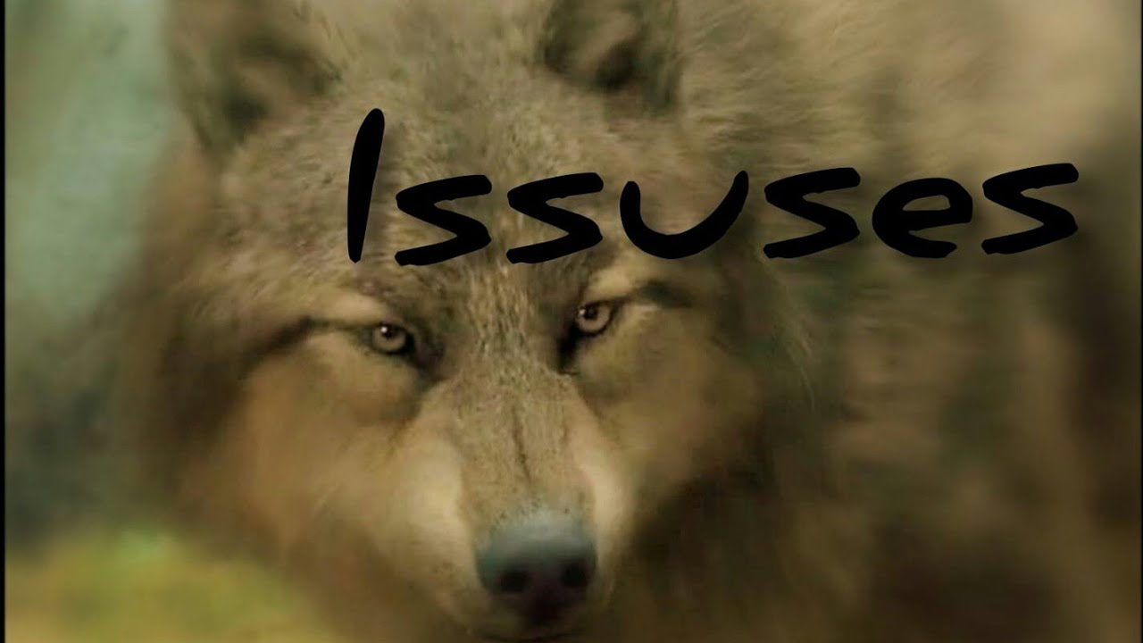 Twilight wolves ~ Issuses