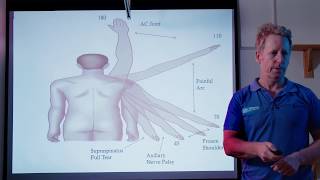 Causes of Shoulder, Cervical & Nerve Pain and the Brachial Plexus