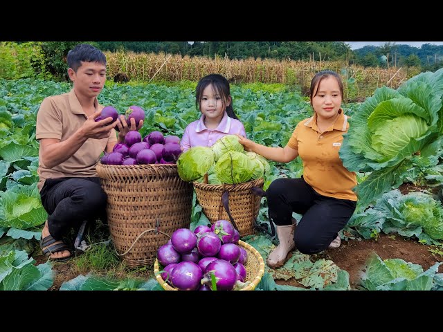 The process of family togetherness -Harvesting agricultural products to sell, Cooking works the farm class=