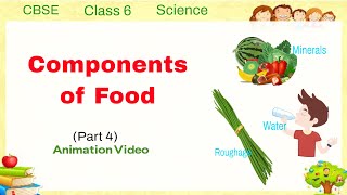 Components of Food - Part 4 (Minerals, Roughage, Water) | CBSE Class 6 Science | Animation Video