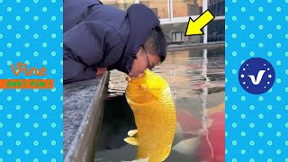 Funny \& Hilarious Video People's Happy Life #12 😂 Try Not To Laugh Funny Videos 2024