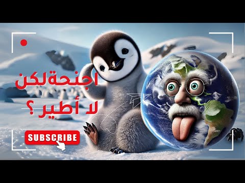 وااا علاش البطريق عندو جنحين وماكيطيرش