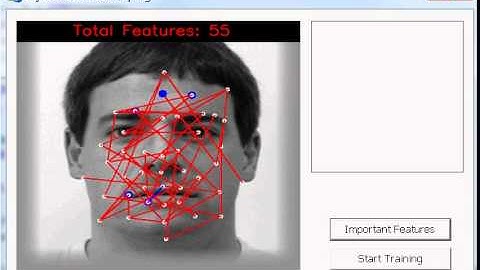 Prominent Geometric Feature Selection for use in Facial Expression/Emotion Recognition