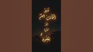 اكتب شيء تؤجر عليه ♥️😴 #تلاوات #تلاوة_خاشعة #قرآن_كريم #shortvideo #quran