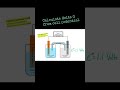 AP Chem - Gibbs free energy and cell potential #redoxreactions #chemistryeducation #galvaniccell