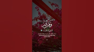 قل اعوذ برب الفلق من شر ماخلق 🌸#سورة_الفلق #قرآن #قالب_قرآن  #قالب_قرآن #اذكر_الله 🤍🌸