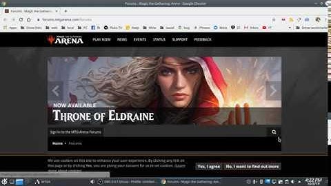 How to update Magic the Gathering: Arena in Linux and Lutris (When it actually works right)