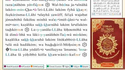 ختمة من مصحف التجويد باللغة الفرنسية الصفحة رقم 336