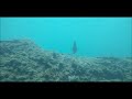 令和元年８月４日～６日　高知旅行（桂浜・足摺岬・沈下橋・室戸岬）