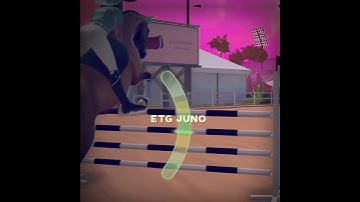 Ozzy is literally the prettiest SWB and you can’t tell me otherwise