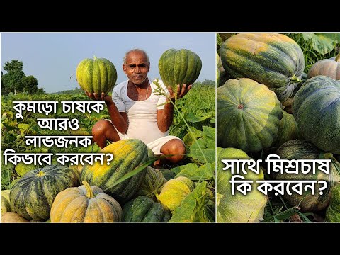 ভিডিও: শীতের জন্য কীভাবে কুমড়োর রস তৈরি করবেন