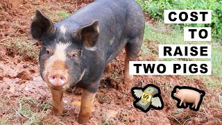 Cost to Raise 2 pigs on 1.5 Acres 🐖 🐷