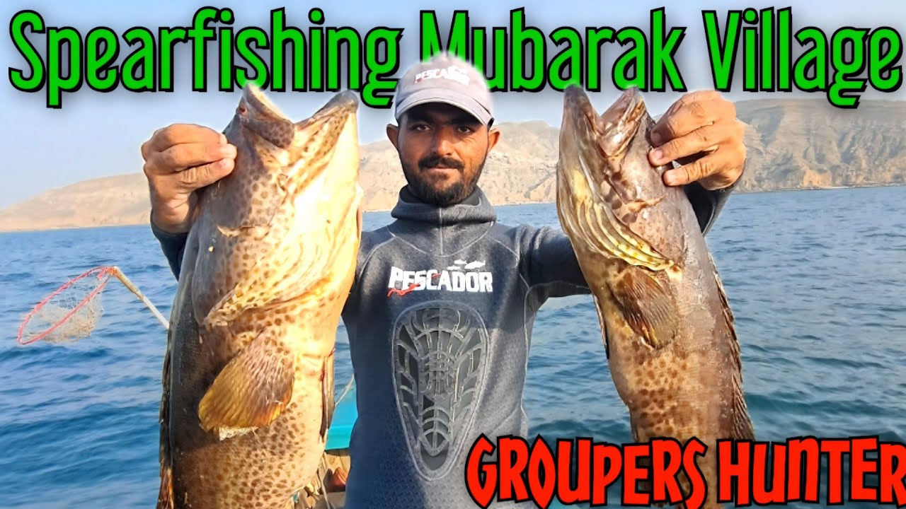 Видео подводной охоты и фридайвинга | Дайвинг со скал \ Видео рыбалки \ Подводная охота с берега ...